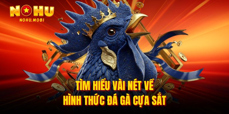 Tìm hiểu vài nét về hình thức đá gà cựa sắt