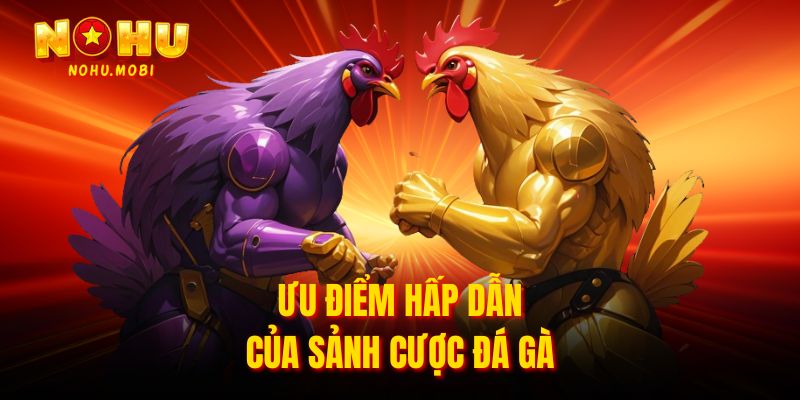 Ưu điểm hấp dẫn của sảnh cược Đá gà